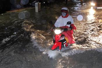 Sài Gòn lại ngập trong mưa lớn, 7 ôtô bị cây đè