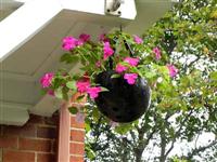 Các công dụng thú vị của mũ bảo hiểm cũ