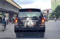 Văn hóa tùy tiện của tài xế Việt